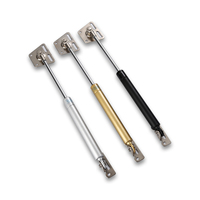 Ressort à gaz réglable hydraulique de Cabinet de Stabilus de 80n 100n 120n mini Miature pour des meubles