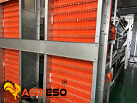 Nouvelles solutions personnalisées de cages à poules pondeuses automatiques de type H, anti-corrosion, capacité 32/40 oiseaux, pour élevages commerciaux de volailles.