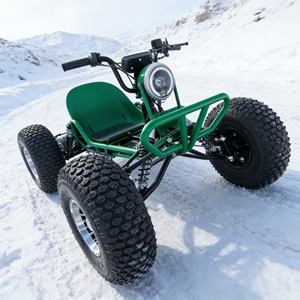 Vente flash : Kit moteur <span class=keywords><strong>électrique</strong></span> pour karting <span class=keywords><strong>électrique</strong></span>, 3000W, pour les courses en plein air et les passionnés <span class=keywords><strong>de</strong></span> bricolage - Product Image 2