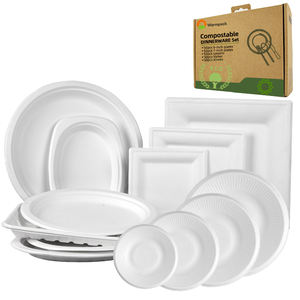 100 compostables Jetables biodégradables canne à sucre bagasse alimentaire plaques plateau bol et de <span class=keywords><strong>vaisselle</strong></span> <span class=keywords><strong>vaisselle</strong></span> ensemble pour la fête de mariage - Product Image 5