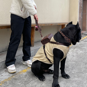 Arnés ligero cómodo de alta calidad para mascotas al aire libre, conjunto de collar de correa, arnés para perros pequeños y medianos - Product Image 2