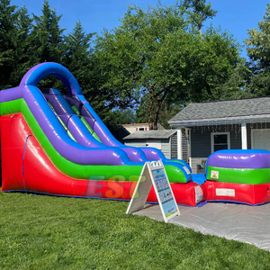 Grands toboggans gonflables avec piscine toboggans pour enfants et adultes toboggans commerciaux jeux de fête d'arrière-cour - Product Image 2