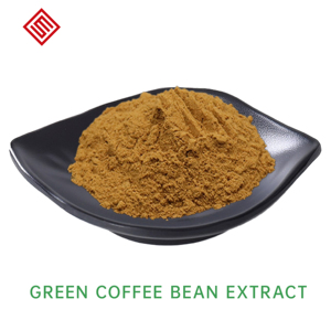 100% Pure Green Coffee Bean Extract <strong>Chlorogenic</strong> <strong>Acid</strong> 1%~98% for Weight Loss