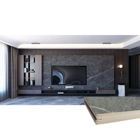 Panneaux muraux décoratifs d'intérieur en marbre pour appartement, salon, WPC