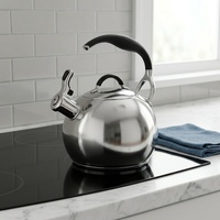 Bouilloire à eau en acier inoxydable de haute qualité, écologique, compatible induction, avec couvercle en acier inoxydable, sans revêtement, design moderne