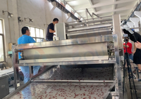 Nouvelle machine automatique à boba éclatante contrôlée par PLC, ligne de dépose de boba éclatant pour perles de bubble tea, capacité 150-600 kg/h, en acier inoxydable 304