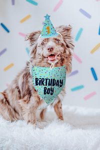 Fournitures pour fête d'anniversaire de chien, foulards bleus pour chien pour fille, bandanas pour chiot, bandanas d'anniversaire pour chiens de petite <span class=keywords><strong>et</strong></span> moyenne taille - Product Image 6