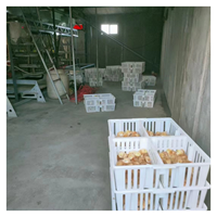 690*490*160mm boîte de transport de poussins en plastique caisse de transport de poussins en plastique panier de bébé de poussins de Transport en plastique