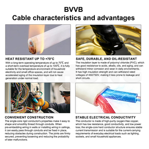 Câble plat BVVB à double <span class=keywords><strong>gaine</strong></span> en PVC pour boîte de distribution, équipement industriel, câblage fixe - Product Image 5