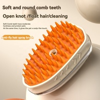 Nouvelle brosse à vapeur rechargeable 4 en 1 pour le massage des animaux de compagnie, le nettoyage, la pulvérisation d'eau, l'épilation, brosse à vapeur pour chat avec lumière