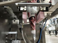 Machine d'emballage verticale automatique 100g 300g 500g pour snacks/biscuits, chips, avec fonction de mise sous film, de purge de gaz, d'étiquetage de date et de capsulage