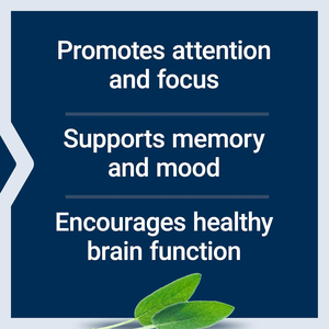 Venta caliente Natural girasol cerebro suplemento vitaminas B6 B12 extracto de soja fosfatidilserina tabletas adulto sin gluten - Product Image 3