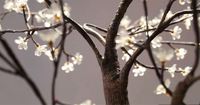 Einzigartiger Stil des wasserdichten LED-Bonsai-Baumes