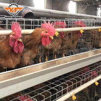 Cages à poulets industrielles populaires, galvanisées à chaud, 3x3, cages de transport pour poules pondeuses