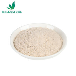 Fabrika kaynağı sarımsak özü kurutulmuş sarımsak tozu 25% allisin toplu - Product Image 2