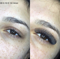 Extensions de cils préfabriquées en gros, noir brun foncé, tiges courtes, volume 3D 4D 5D 6D 7D 8D 10D, fibres PBT 0.07mm, faites à la main