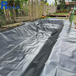 HDPE LLDPE geomembrana pescheria fodera 0.5mm 0.75mm 1.5mm 2mm polietilene per acquacoltura diga ittica uso nelle Filippine - Product Image 5