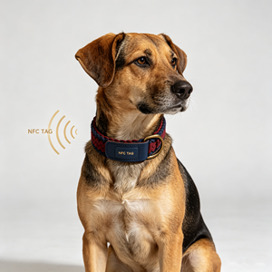 Collier tissé réglable pour animaux de compagnie avec puce NFC, boucle de collier, sangle de cou pour chiens de petite, moyenne et grande taille - Product Image 6