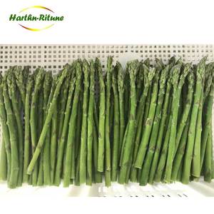 Verdure surgelate di asparagi freschi congelati IQF di alta qualità Per il commercio all'ingrosso 10kg Per cartone - Product Image 1
