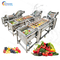 Ligne de lavage de légumes et de fruits, machine de nettoyage et de séchage des fruits et légumes, tomates, pommes de terre, carottes, gingembre, igname, mangue