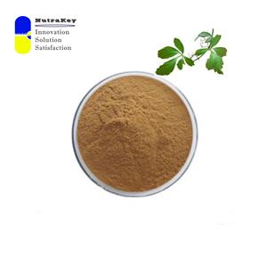 Экстракт гиностеммы пентафиллум премиум-класса 80% гипенозидов | Натуральный адаптоген и антиоксидант - Product Image 3