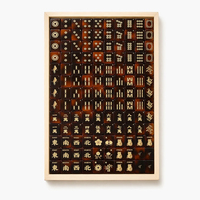 Jeu de Mahjong américain en acrylique, 160 tuiles, motif écaille de tortue, incrustations dorées, Oiseau, Dragon, Panda, Joker, Fleur, Saison, pour divertissement à domicile