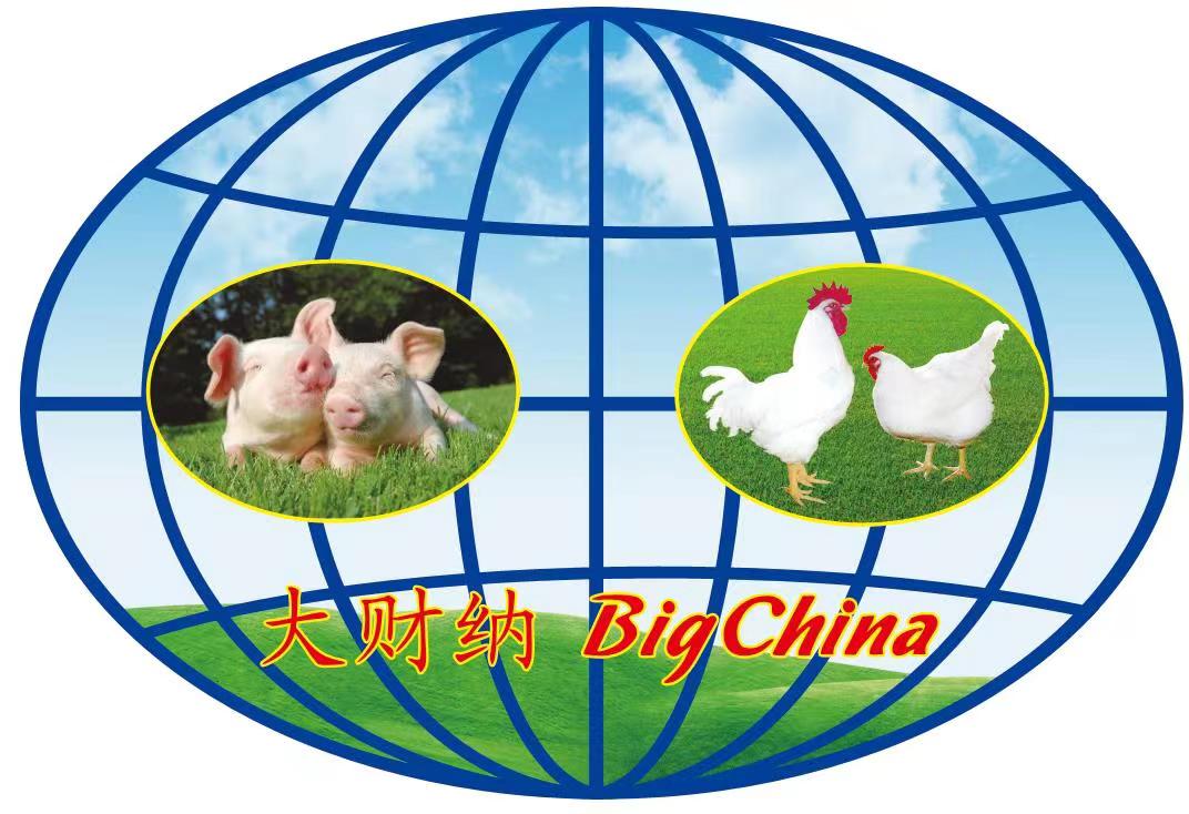 Big China (cangzhou) Agricultural Equipment Co., Ltd. logo