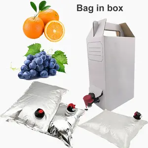 ALU BIB Fruit Juice Aseptic Recyclable Packaging Bags Gravure Printing Plastic Bags in Box for Plastic Packaging Needs