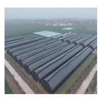 Commerciële Moderne Champignonkas Stabiele Single Pc Sheet Hydrocultuur Landbouwkas Kleine Grote Groenten Groeien