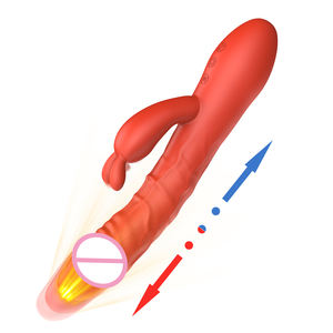 Vibrateur Lapin Point G et Clitoridien, 10 Modes de Vibration, Pulsations Pénétrantes, Étanche, Rechargeable, en Silicone Non-Latex, Godemiché Sexuel - Product Image 1