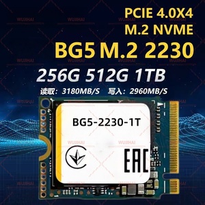 Disque SSD pour serveur M.2 2230, disque SSD BG5-2230-1T - Product Image 2