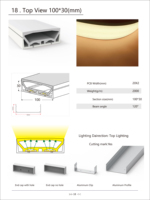 Le diffuseur flexible de silicone de néon de 100*30mm a mené le tube de silicone séparé de la bande menée