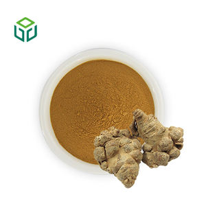Ekstrak Herbal Kelas Makanan Bubuk Ekstrak Akar Notoginseng 80% Saponin Bersertifikat Organik Kemasan Drum - Product Image 1