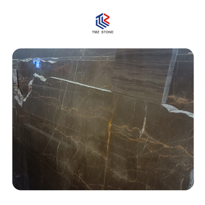 TMZ STONE ODM OEM Arm Brown Marble - Rich Brown Undertones, Refined Textures & Classic Charm for High-End Design Projects - Product Image 1