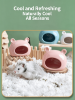 Cave de refugé en céramique pour petits animaux, motif dessin animé, pour hamster, hérisson, petaur, abri respirant d'été