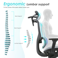 Chaise de bureau élégante et confortable en maille nylon haut de gamme, ergonomique, pour cadres, idéale pour les personnes de grande taille