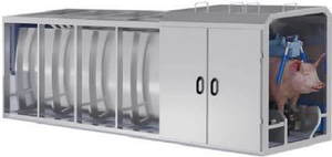 Linea di Produzione Automatizzata ad Alta Capacità per Macellazione Completa di Suini per Mattatoi Professionali - Product Image 2