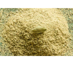 Poudre de cardamome verte, pure, naturelle, fraîche, épice Elaichi, moulue finement, arôme intense, saveur douce, en vrac pour la cuisine - Product Image 1