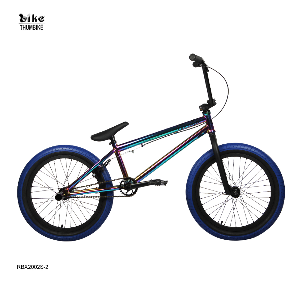 20 Inch Hi Ten Frame BMX Bike - Customized Dirt Jump Style