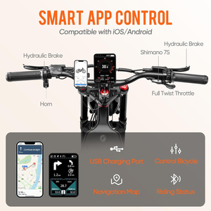 Bicicleta Eléctrica para Adultos EAhora Romeo Pro 60AH con Motor en la Rueda Trasera, Batería de Litio, Cuadro de Acero, Neumáticos Anchos, Suspensión Completa, Canasta Trasera - Product Image 6