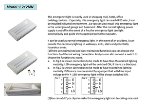 Khẩn cấp lối ra dấu hiệu ánh sáng phát quang PVC sáng dấu hiệu an toàn cho các trường học trung tâm mua sắm bãi đậu xe trạm khu vực công cộng - Product Image 2