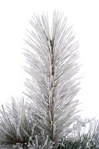 <b>Modern</b> 48 Inch Small 8 Pinecones Standing Artificial PVC <b>Christmas</b> <b>Tree</b> with 249 Flocked Mixed Pine Needle Tips - Product Image 3