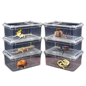 Reptielentransparantie Plastic Kooi Insectenkweekschildpad Habitat Huishamster