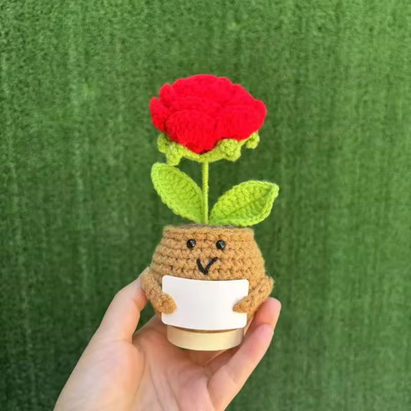 ต้นกุหลาบแดงใหญ่ในกระถาง