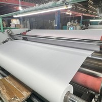 Film d'impression DTF à bon prix, transfert thermique double face facile à décoller, rouleau de 60 cm x 100 m, matière première pour vêtements