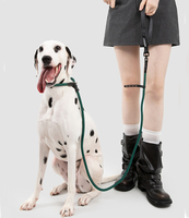 Laisse pour chien en nylon épais de 11 mm avec poignée en cuir personnalisée, anti-traction, robuste, 150 kg, pivotante, monobloc, type P-Leash