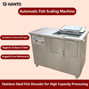 Machine automatique de détartrage de poisson à grande échelle de haute qualité, machine de détartrage de poisson en acier inoxydable - Product Image 2