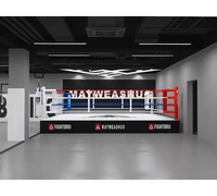 Ring de boxe FightBro EBX Pro