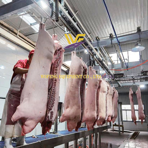 Équipement d'abattage de porcs HACCP, machine d'abattage de porcs, machinerie de boucherie porcine, solution clé en main pour l'usine de transformation de la viande, abattoir - Product Image 6