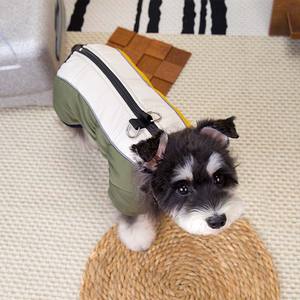 2025 신제품 고품질 클래식 코튼 장식용 세탁 가능 안전 의류 리드 더 로프 도그 코트 겨울용 - Product Image 1